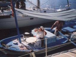 Törn 2001